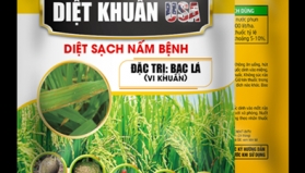 Thiết kế bao b&igrave; sản phẩm