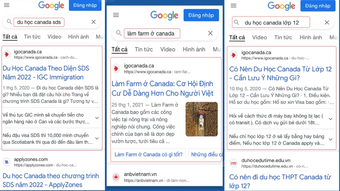 Dịch Vụ SEO / Thiết Kế Web Chuẩn SEO