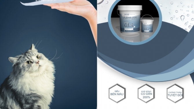 Thiết kế Broucher sơn chống thấm CT-E