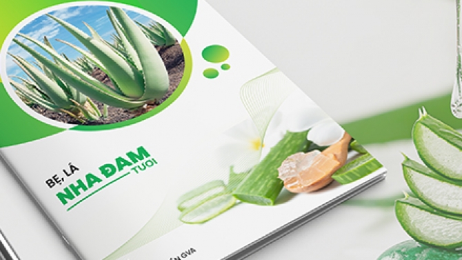 Thiết kế profile c&ocirc;ng ty cổ phần GVA