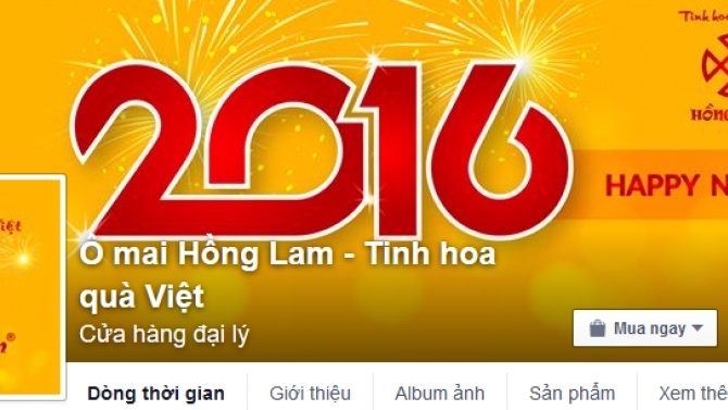 Quản l&yacute; fanpage, quảng c&aacute;o facebook, google cho &ocirc; mai Hồng Lam