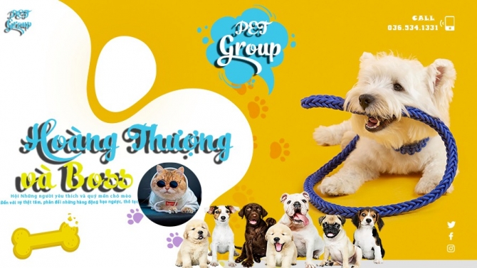 Thiết kế Group th&uacute; cưng