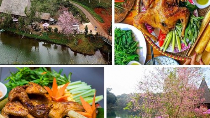 SEO v&agrave; quản trị website