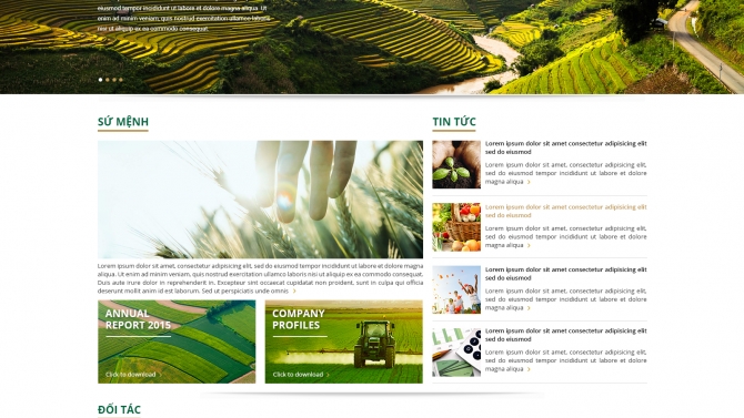 Thiết kế website The Pan Group