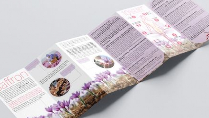brochure/ flyer Zafranar