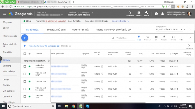 Chạy quảng c&aacute;o Google Ads cho sản phẩm Nấm lim xanh