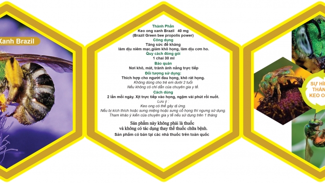 Leaflet