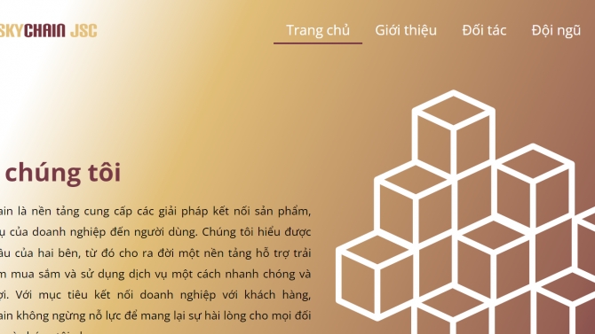 skychainjsc- Thiết kế v&agrave; x&acirc;y dựng website