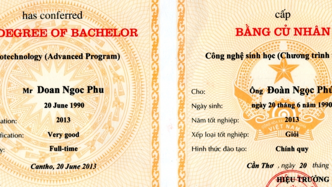 quản trị web, xử l&yacute; h&igrave;nh ảnh