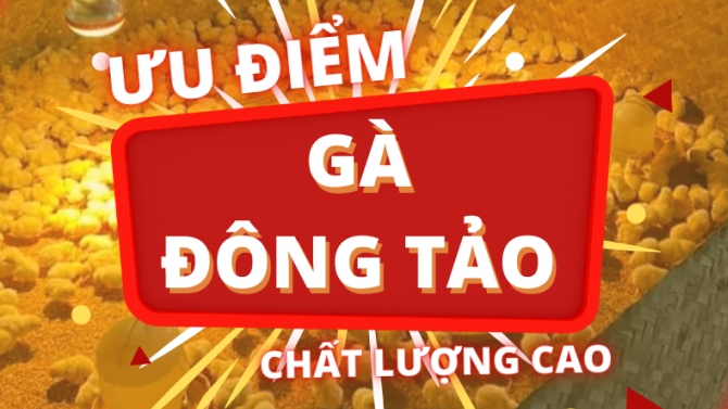 thiết kế h&igrave;nh ảnh cho fanpage, thiết kế banner, &aacute;p ph&iacute;ch, l&agrave;m video