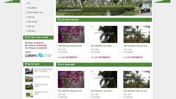 Thiết kế website c&acirc;y xanh