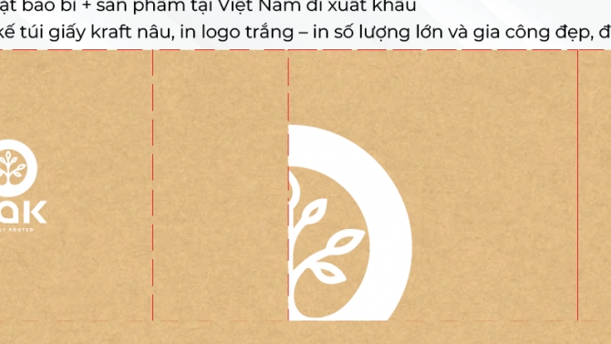 T&uacute;i giấy kraft n&acirc;u - bảo vệ m&ocirc;i trường