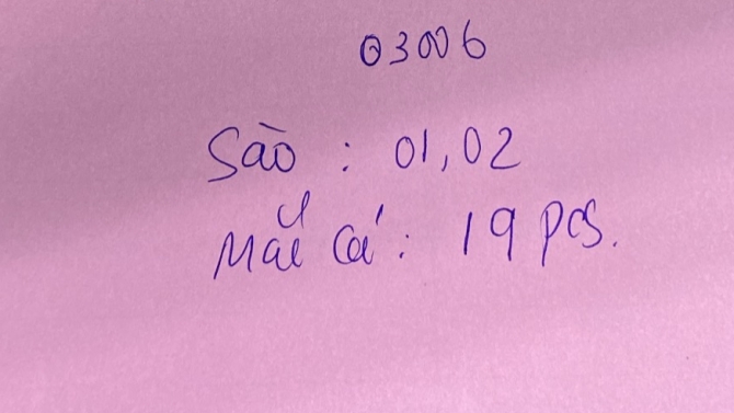 Trợ l&iacute; từ xa