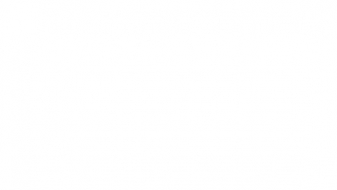 Dev Flutter