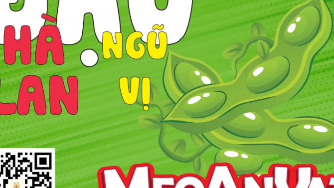 THIẾT KẾ NH&Atilde;N D&Aacute;N THƯƠNG HIỆU MEOANVAT