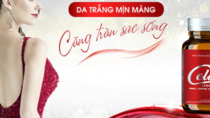 Thiết kế c&aacute;c ấn phẩm Dự &aacute;n Celia luxury