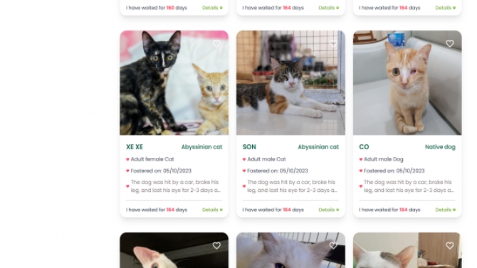 Website cứu hộ động vật - Pet Foster