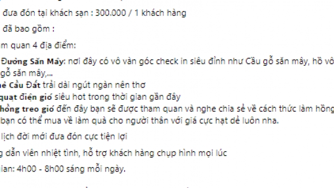 Portfolio Đ&igrave;nh M&atilde;i