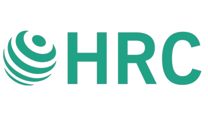 Marketing Executive