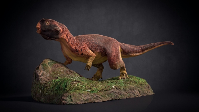 Sản phẩm in 3D (Shapeways)_Psittacosaurus
