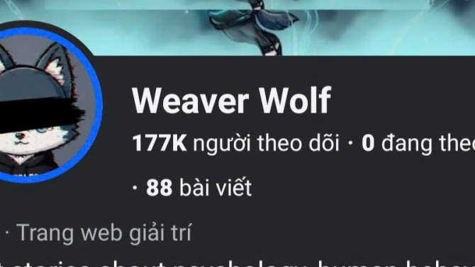 L&agrave;m content creator cho k&ecirc;nh Weaver Wolf tr&ecirc;n facebook