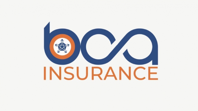 X&acirc;y dựng Landingpage b&aacute;n h&agrave;ng v&agrave; Quảng c&aacute;o - BCA Insurance