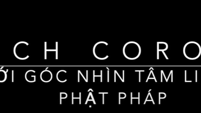 Vietnamese-English Video Subtitle