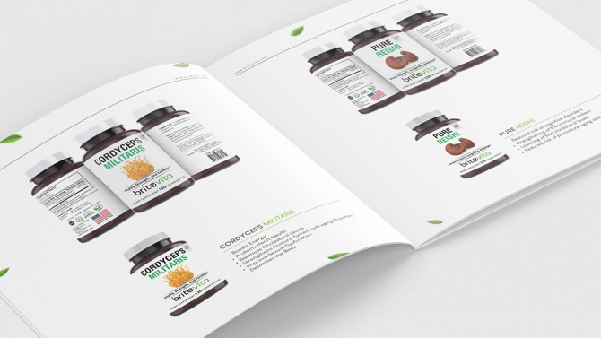 Catalogue Britevita