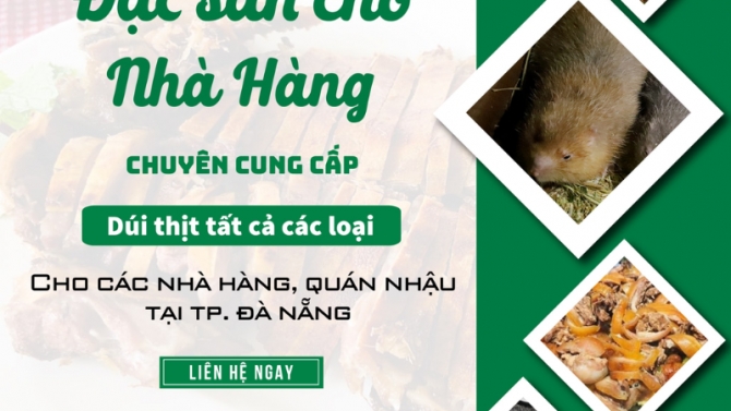 Thiết kế ảnh b&agrave;i viết cho C&ocirc;ng ty thực phẩm Trung Mang