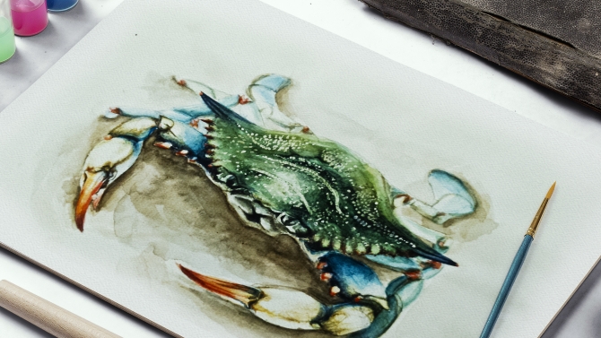 Watercolor Drawing and Design