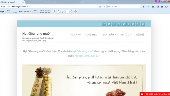 Thiết kế v&agrave; SEO website www.hatdieurangmuoi.com.vn