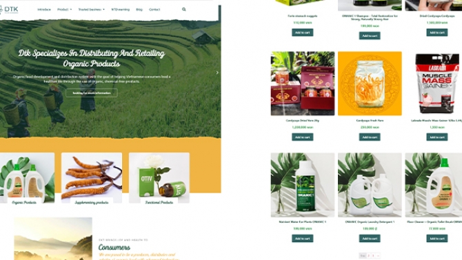 Thiết kế website DTK Vietnam