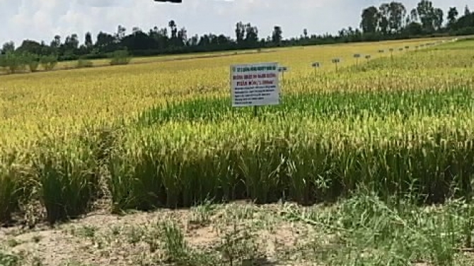 M&aacute;y bay kh&ocirc;ng người l&aacute;i