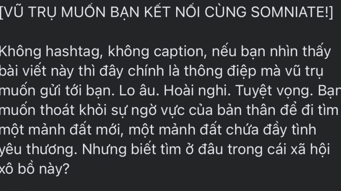Đ&aacute;nh m&aacute;y c&aacute;c văn bản