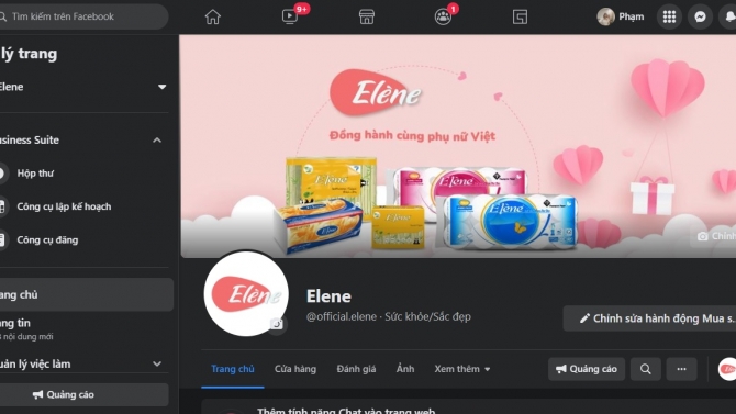Lập plan, viết b&agrave;i v&agrave; chăm s&oacute;c fanpage Elene