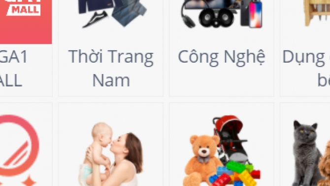 Viettel++, VinaPhone Plus, BeLoyalty, Mega1