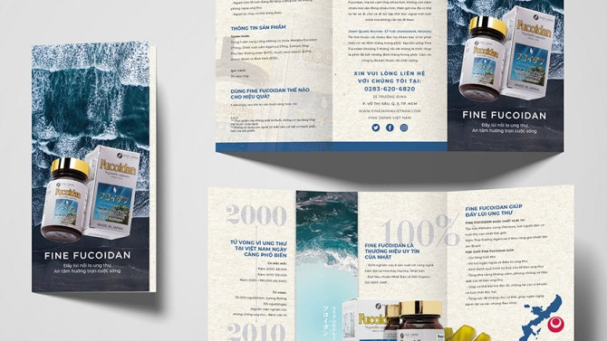 Thiết Kế Brochure