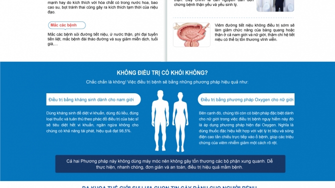 Thiết kế Website