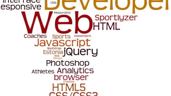 Developer Front-end