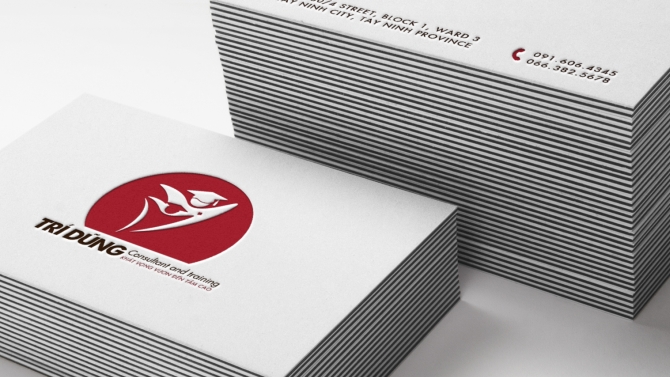 [TRI DUNG CONSULTANT & TRAINING] LOGO + BUSINESS CARD