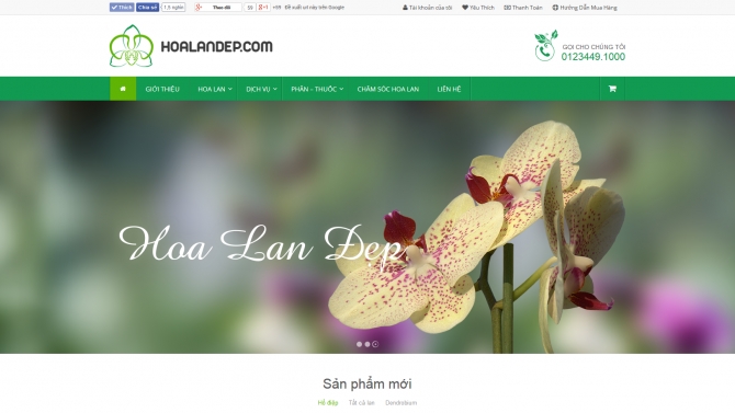 thiết kế website hoalandep