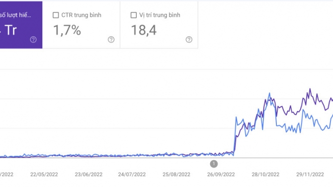 SEO Website