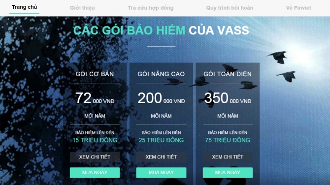 Thiết kế website VASS