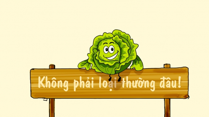 Vẽ nh&acirc;n vật bắp cải
