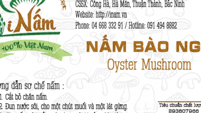 bao b&igrave; nấm b&agrave;o ngư