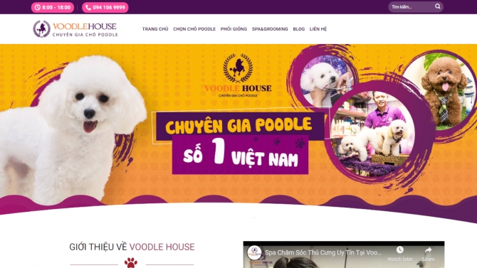 Shop th&uacute; cưng Voodle House