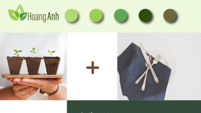 Thiết kế Logo Ho&agrave;ng Anh