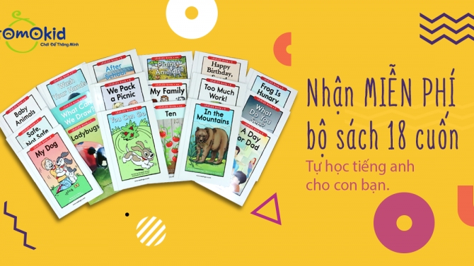 Thiết kế banner Tomokid