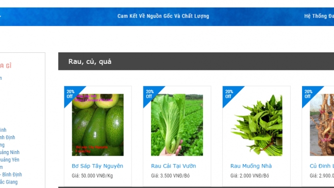 Thiết kế web chợ qu&ecirc; 247