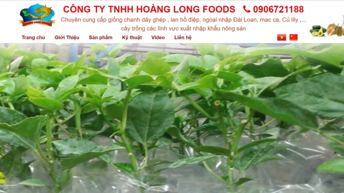 Website c&ocirc;ng ty Ho&agrave;ng Long Foods